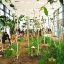 댕댕랜드 이미지