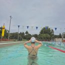 빅토리아 | 시드니 빅토리아 파크 수영장 후기