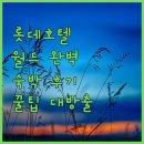 롯데호텔 월드 완벽 분석 숙박 후기와 꿀팁 대방출