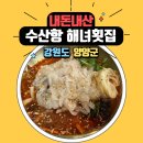 수산항 횟집 | 양양 수산항 애견 동반 식당 해녀횟집에서 맛본 시원한 물회와 섭국. 내돈내산 솔직후기