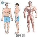 피트인 피트니스 이미지