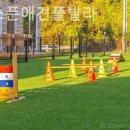 골드스푼애견풀빌라 이미지