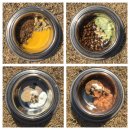 강아지 츄르 만들기(+야채퓨레, 발효야채)+대략적인 칼로리추카 이미지