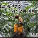 종진농장 이미지