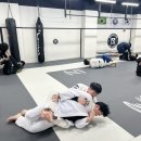 본주짓수평택안중 이미지