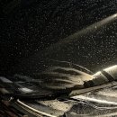 빛고을현대서비스(주) | 광주 광역시 사고대차 보험 • 사고대차 전문업체 더뉴 그랜저 2.5 사고 K9 빛고을 현대 서비스 입고