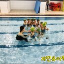 자연숲 유치원 티스토리