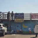 다율반점 | 울진 가볼만한곳 죽변 해안스카이레일 주말여행 꿀팁