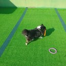 킹스키즈 개린이집 이미지