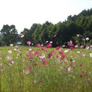 길사이언스 이미지