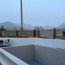 스테이인포시즌 | 청도 애견동반숙소 스테이인포시즌