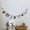 뭉구르밍 | 이천애견미용, 믿고 맡길 수 있는 몽구르밍