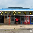 오케이승마장 이미지