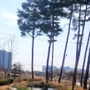 서안성종합정비센터 | 안성시 공도읍 종합체육시설 서안성체육센터