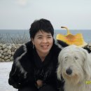 천지쇼파천갈이 이미지