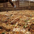 색달동-13 이미지