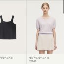 로지레브