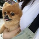 동산동물병원 이미지