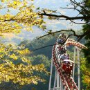 부산어린이대공원 이미지