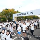 현대자동차마당 이미지