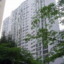 상남동238 이미지