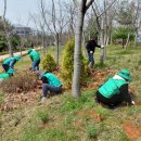 (주)나무그룹 이미지