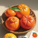 한라청과 이미지