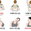 다함케어 이미지