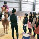 내일복싱 이미지