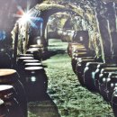 광천역전토굴새우젓 이미지