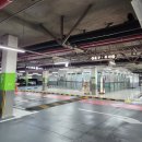 해달새 그리고 나무 | 부산 아이와 실내 가볼만한곳 이영란의 감성체험 가루나무모래흙 후기