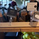 안산식물원 | 경기도 안산 장줄리앙 전시 식물원 보타닉하우스 솔직 후기