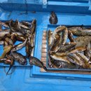 장군마을길 이미지