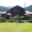 꿈꾸는강 이미지