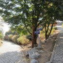 노송당구장 | &lt;1&gt; 호국돈대길 (갑곶돈대 -용진진 -용당돈대 -화도돈대 -오두돈대 -광성보 -용두돈대 - 덕진진 -초지진)
