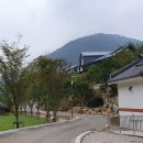 삼척 활기 치유의 숲 이미지