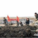 향봉농장 뉴스1
