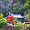 장림산방 네이버블로그
