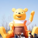 엘림꽃과일 이미지