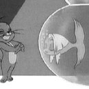 Tom and Jerry 이미지