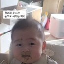 엄마가 맛없는 음식 주니까 눈으로 욕하는 아기 이미지