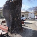 소초농협 하나로마트 이미지