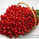 JBS 방송국 야니국장님 축하해주세요 이미지