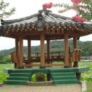 대풍떡집 Daum카페