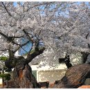 무주공공도서관 이미지