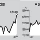 (주)데이콤
