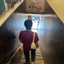 안암아줌마치킨 경희대점 | 꿈보다 더 행복한 현실을 같이 살아내 보자