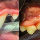 산들동물병원 이미지