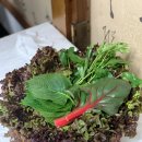 청림식당 이미지