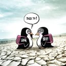 11-13 이미지